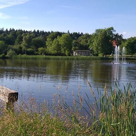 Aussicht Lejlighed Goslar Eksteriør billede