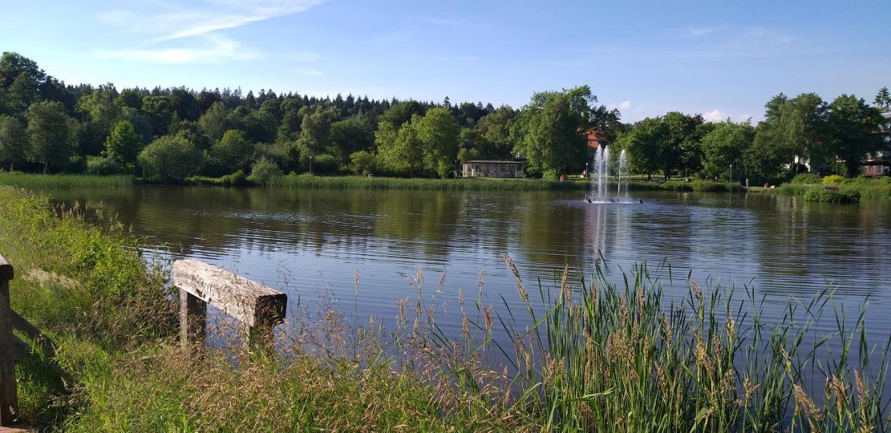 Aussicht Lejlighed Goslar Eksteriør billede