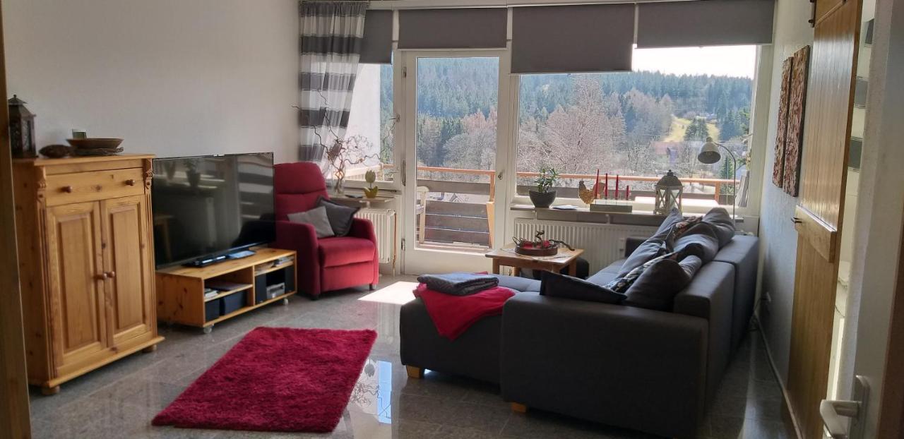 Aussicht Lejlighed Goslar Eksteriør billede