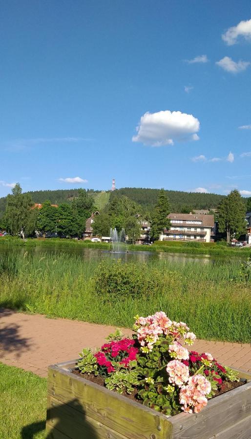 Aussicht Lejlighed Goslar Eksteriør billede
